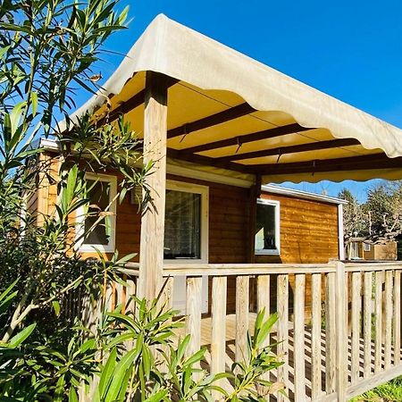 Amelia Camping Amélie-les-Bains-Palalda Exterior foto
